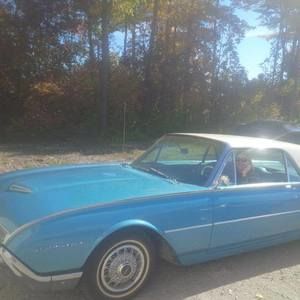 Meet your Posher, Liz